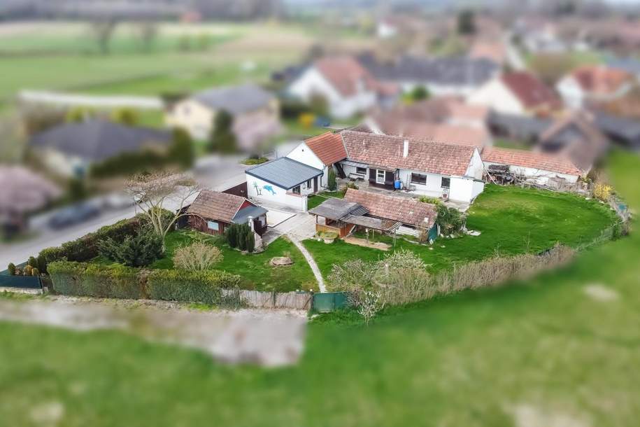 Landhausidylle mit großem Garten und vielseitigen Nebengebäuden, Haus-kauf, 255.000,€, 3484 Tulln