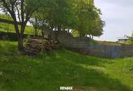 Einfamilienhaus mit Nebengebäuden und Garten