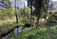 Kleines Juwel in Niederösterreich - Blockhaus mit Fischteich