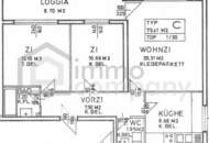 3 Zimmer Wohnung in super Ruhelage mit extrem viel Potenzial zum selbst Gestalten in Rodaun