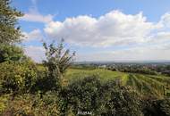 Eigengrund: Grünland mit Gartenhaus - Großes Grundstück in Mauer am Kadoltsberg - direkt am Lainzer Tiergarten