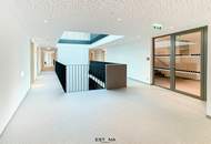 Nähe U1 Station Kaisermühlen - Singlewohnung mit optisch abgetrenntem Schlafbereich - Neubau