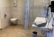 Exclusives Wohnhaus + 2 Ferienwohnungen in Weißbriach, Nähe Weissensee