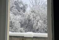 Herrschaftliche Wohnung in historischer Villa | über 440m² Garten &amp; möglicher Infinity Pool | ca. 4,40 m Raumhöhe | sanierungsbedürftig | U-Bahnnähe