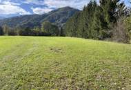 Landwirtschaftliches Wiesengrundstück in Altenmarkt bei St. Gallen zu kaufen,