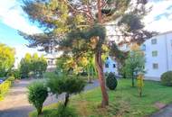 Absolute Grün- und Ruhelage! Gebraucht. Gepflegt. Geliebt! Perfekt aufgeteilte 3-Zimmer + separate Küche / 2 Balkone / Viele Möglichkeiten! Ruhig wohnen, gut leben!