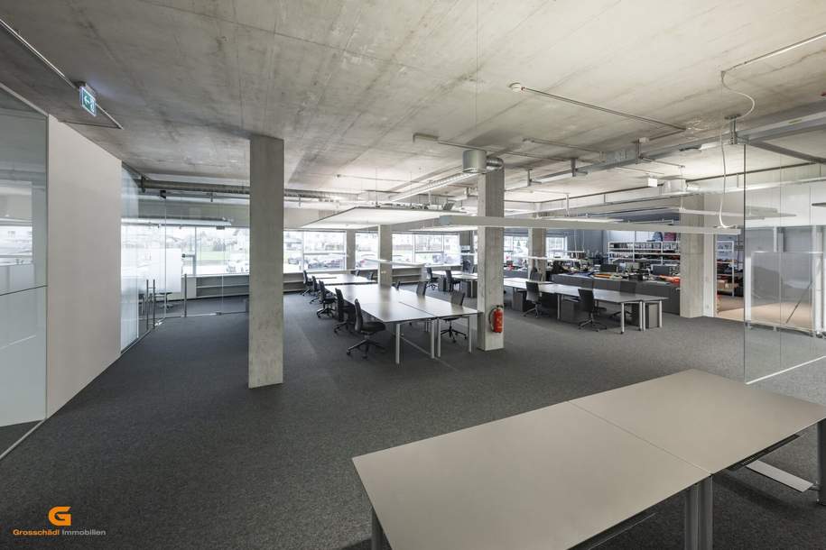 Salzburg Süd - Top Loftstylebüro mieten, Gewerbeobjekt-miete, 5.320,00,€, 5081 Salzburg-Umgebung