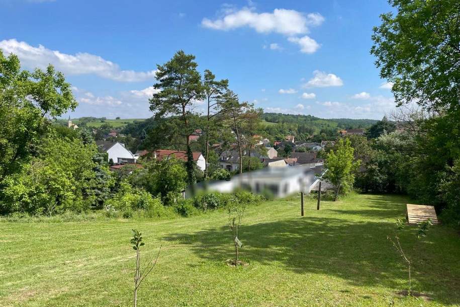 Leben im Grünen: Nachhaltige Liegenschaft mit Bauernhaus viel Land und Selbstversorger-Potenzial!, Haus-kauf, 349.000,€, 2251 Gänserndorf