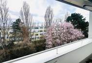 3 Zimmer Wohnung mit Loggia