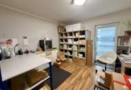 Exklusives Wohnensemble im sonnigen Südburgenland: Zwei Wohneinheiten auf über 3.500 m² Grund