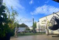 Großzügige Eleganz mit viel Luftraum