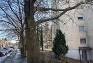 Sanierungsbedürftige Eigentumswohnung am Froschberg