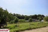 Wohnen an der Traisen – Im Herzen St. Pöltens - Exklusive Eigentumswohnungen mit Naturblick