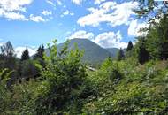 Blockhaus in naturnaher, ruhiger Lage am Semmering – Wohnen mit Wohlfühlcharakter