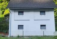 Ihr Rückzugsort im Grünen - charmantes Einfamilienhaus samt Grundstück und Waldanteil