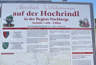 Neu saniertes Almhaus in Ruhelage mit Fernsicht auf der Hochrindl (Provisionsfrei)