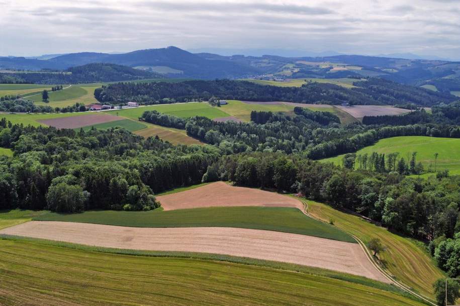 Ruhe, Platz und Entfaltungsmöglichkeiten gesucht??, Haus-kauf, 330.000,€, 2811 Wiener Neustadt(Land)