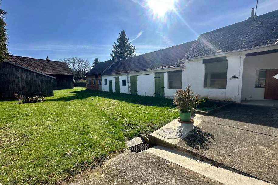 Vielseitiges Bauernhaus auf großzügigem Grundstück in ruhiger Lage, Haus-kauf, 179.000,€, 2185 Gänserndorf
