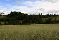 Landwirtschaftliche Fläche zwischen Fraham und Scharten zu verkaufen