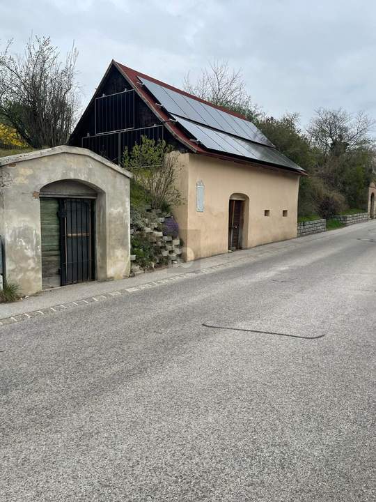 EINZIGARTIGES WEINGUT MIT ALTER WEINPRESSE UND GROßEM ENTWICKLUNGSPOTENZIAL