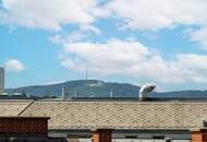 Dachterrassenwohnung Reichsbrücke-Alte Donau-UNO-City