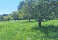 „Ihr Logenplatz in Wildon – Baugrundstück mit Aussicht, Sonne & Privatsphäre“