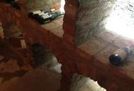 Gartenwohnung 7 Zimmer mit Pool im Apfelgarten - - 5 bedroom apartment 15 km from Vienna