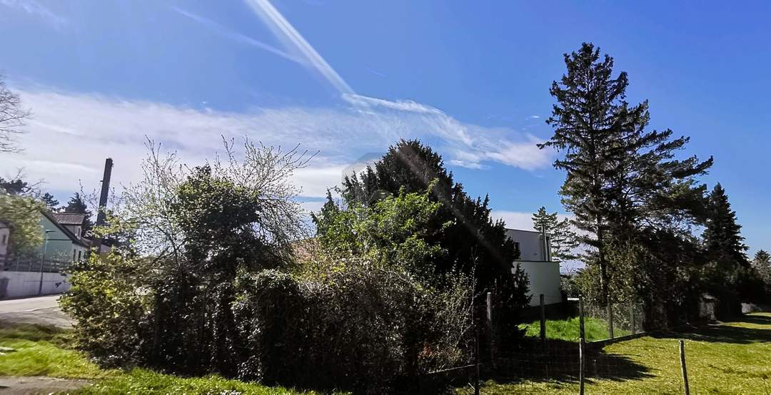 RUHELAGE AM TOR ZUM LEITHAGEBIRGE