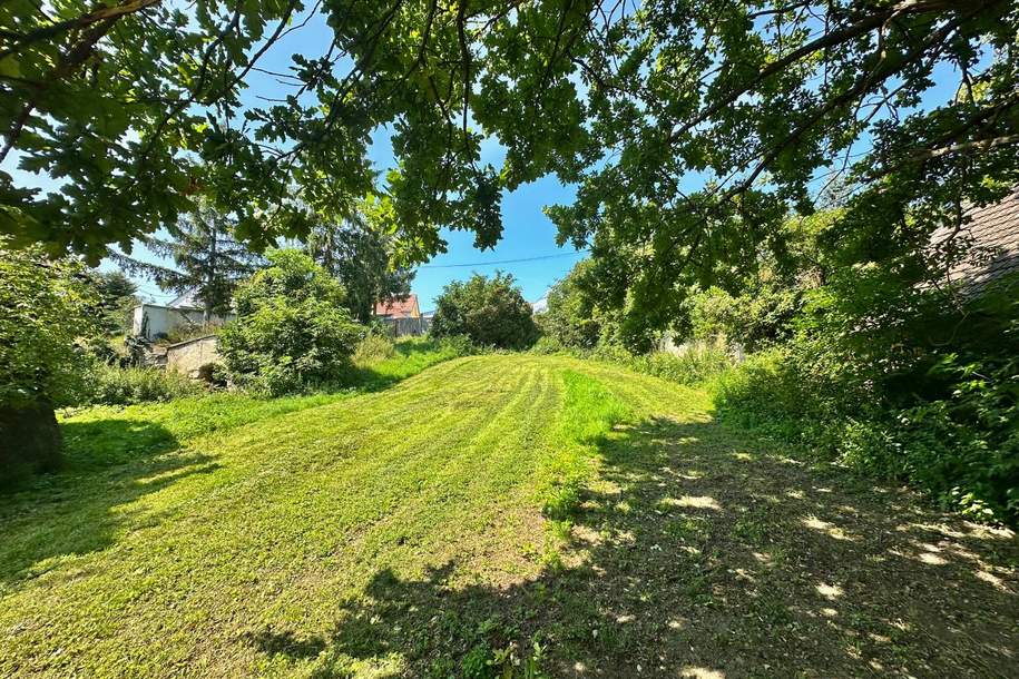 Baugrundstück mit sanierungsbedürftigem Bauernhof, Stallungen und Stadl in ländlicher Lage zu verkaufen., Haus-kauf, 152.000,€, 2165 Mistelbach