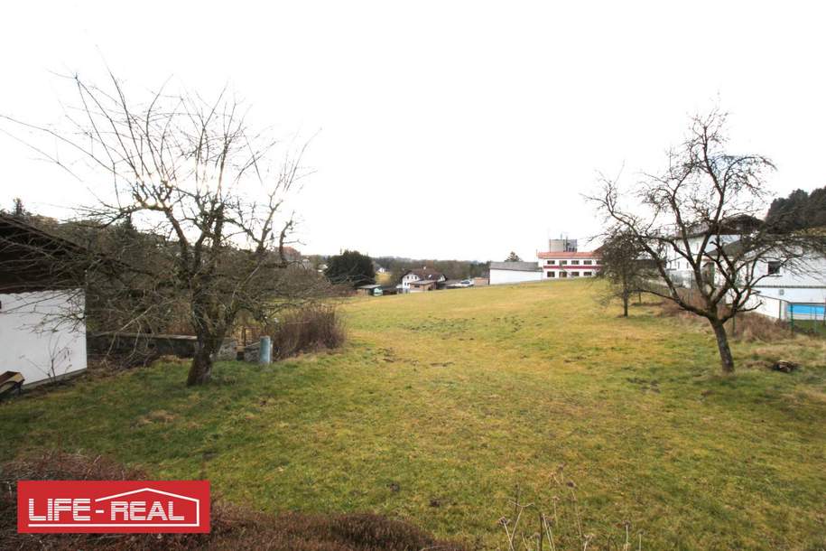 Grünland - Bauerwartungsland in zentraler Dorflage mit Altbestand - Potenzial auf 8.000qm, Grund und Boden-kauf, 379.000,€, 4794 Schärding