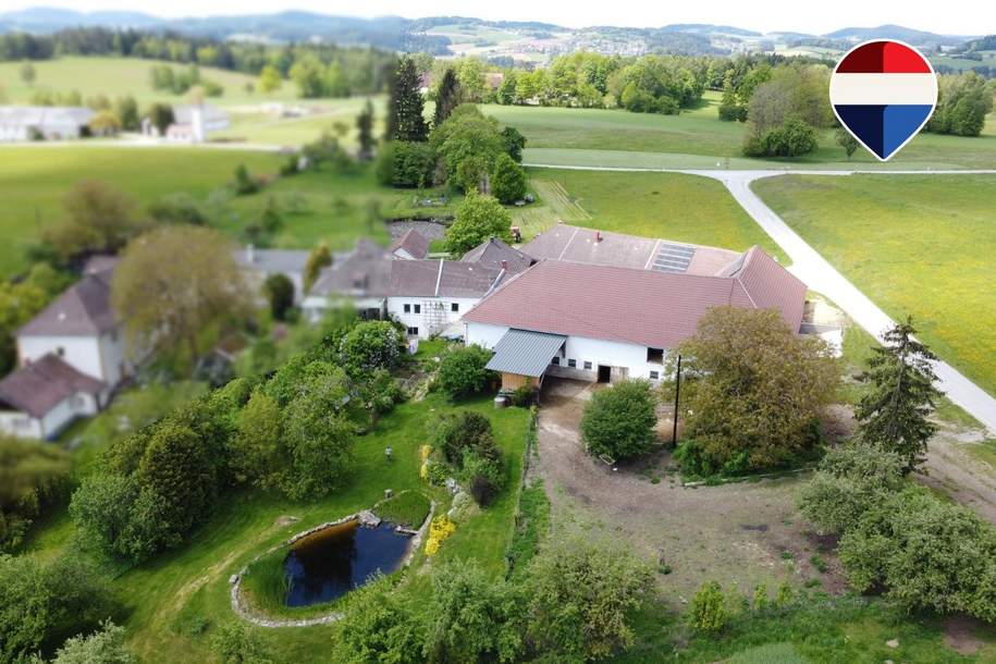 Tradition trifft Entwicklungspotential in Freistadt!, Haus-kauf, 1.000.000,€, 4240 Freistadt