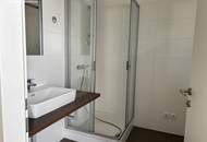 Aufblühen in Reininghaus