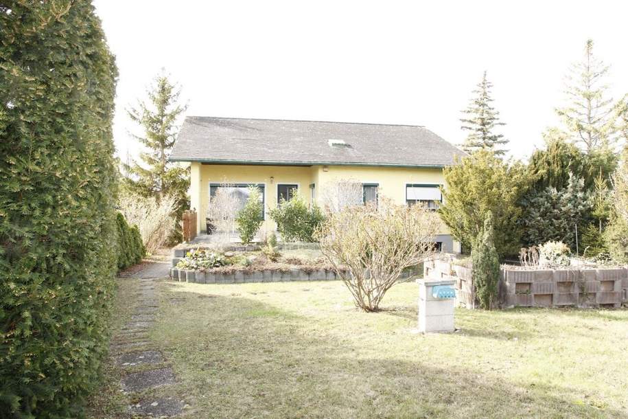 Familientraum in Ebreichsdorfer Toplage - mit großer Baureserve, Haus-kauf, 485.000,€, 2483 Baden