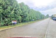 BAUGRUND in den Golser Weinbergen