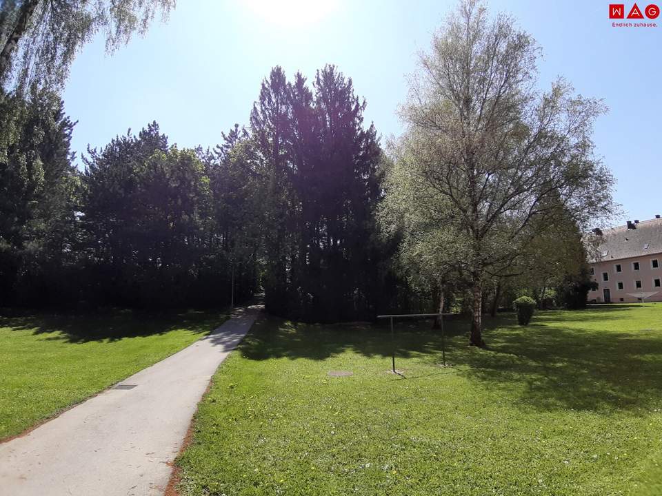 Dein Platz zwischen Stadt & Natur – helle 3-Zimmerwohnung in Steyr-Münichholz mit durchdachtem Grundriss, gemütlicher Wohnatmosphäre und perfekter Anbindung für entspanntes Wohnen!