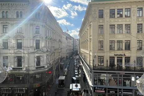 BÜRO - ORDINATION - STUDIO | HABSBURGERGASSE, Gewerbeobjekt-miete, 7.173,23,€, 1010 Wien 1., Innere Stadt