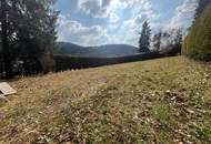 Baugrundstück ohne Bauzwang in sonniger Lage