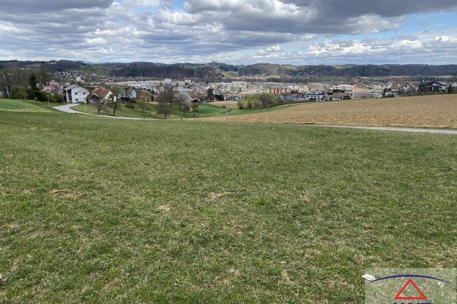 Grundstück in Bestlage und mit Weitblick nahe Feldbach!, Grund und Boden-kauf, 8330 Südoststeiermark