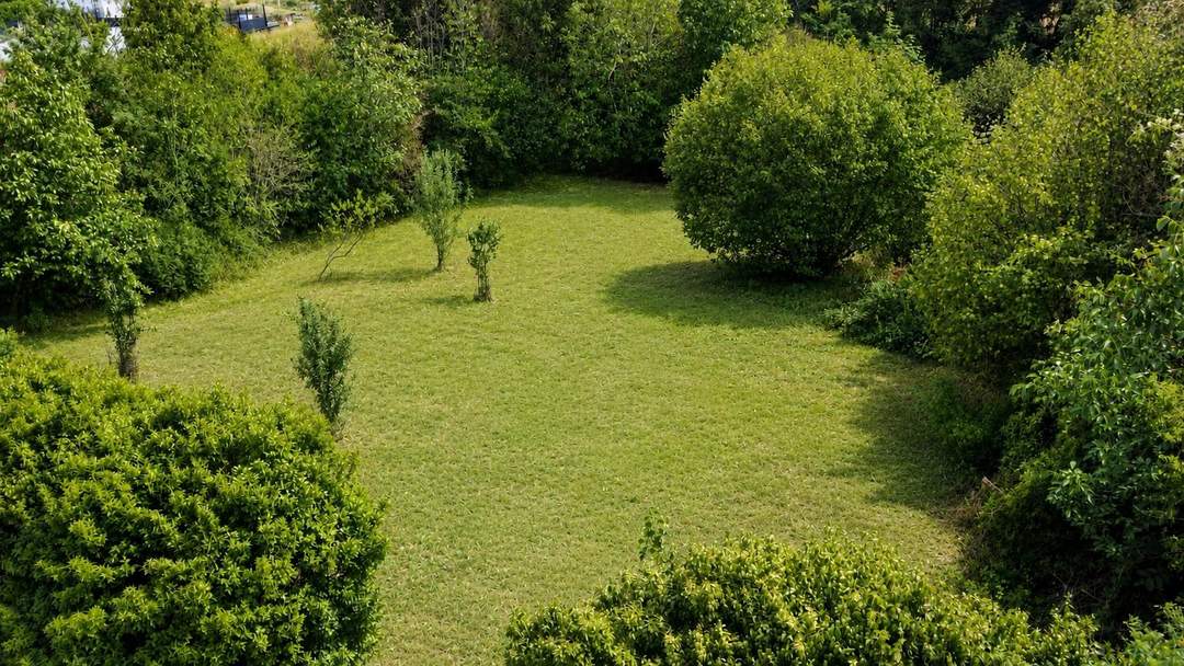 "Großzügiger Baugrund mit viel Privatsphäre – 1.935 m² nahe Tulln"