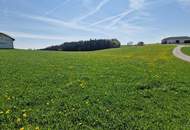 Bauernhof, Landwirtschaft, Alleinlage, Aussichtslage