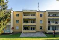 "Weingartenblick inklusive – frisch renovierte Wohnung in Döbling!"