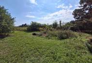 "Wien-Breitenlee - Pacht-Eck-Grundstück in frequentierter Lage"