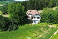 **Charmantes 4-Zimmer-Haus mit Pool, großem Grundstück & traumhafter Aussicht im SÜDBURGENLAND!**