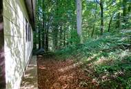 Einfamilienhaus mit Wohnrecht und 1875 m² Grund - idyllische Waldrandlage in Steyr/Fischhub