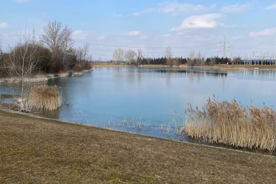 BAUGRUNDSTÜCK AM FÖHRENSEE IN TRASDORF INMITTEN DER NATUR AN FELDER DER REGION ANGRENZEND, Grund und Boden-kauf, 193.400,€, 3452 Tulln