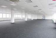 Lagerhalle 650 m2 mit Büro 450 m2 Kombination südlich von Wien, in Wr. Neudorf