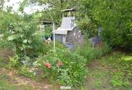 Charmantes Einfamilienhaus mit großem Naturgarten, Gewölbekeller und herrlichem Ausblick