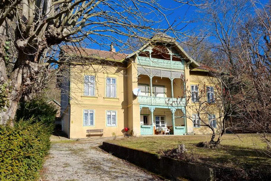 Die Villa wirst Du haben müssen, um Dornröschen wachzuküssen!, Haus-kauf, 3.000.000,€, 2371 Mödling