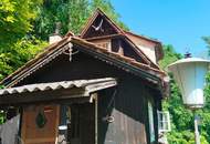 Knusperhaus für Profi - Bastler