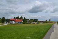 Grünland in Voitschlag – attraktive Fläche zur langfristigen Vorsorge